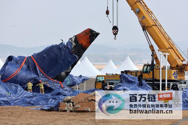 韩国空难调查 朝野两党携手 交通部长长拟引咎辞职 (韩国空难调查结果)